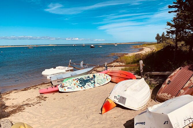 marthas-vineyard-luxury-tour-2hrs-2