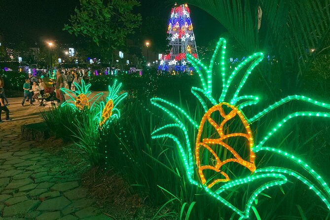 medellin-christmas-lighting-private-tour