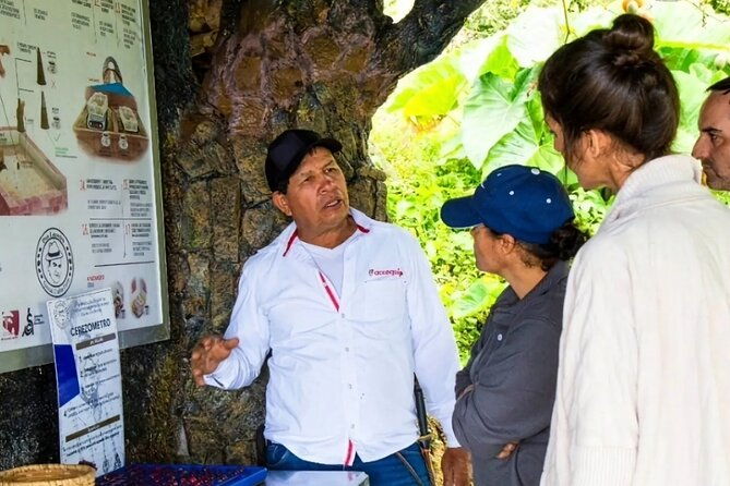 medellin-coffee-tour-spa-2