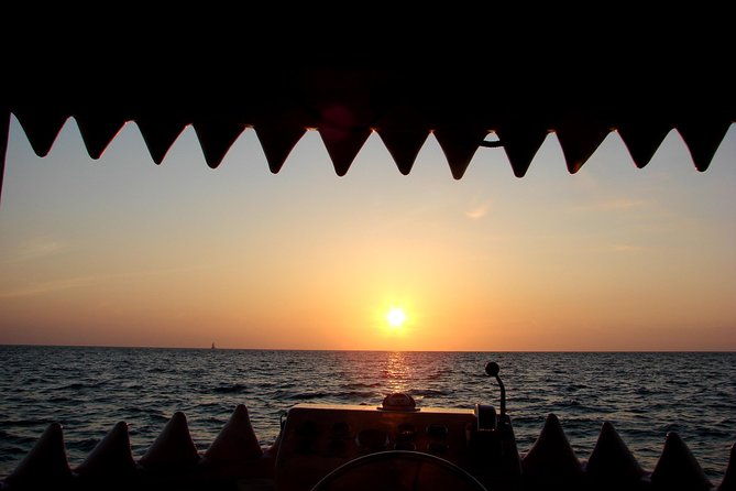 mega-bite-dolphin-tour-boat-in-clearwater-beach