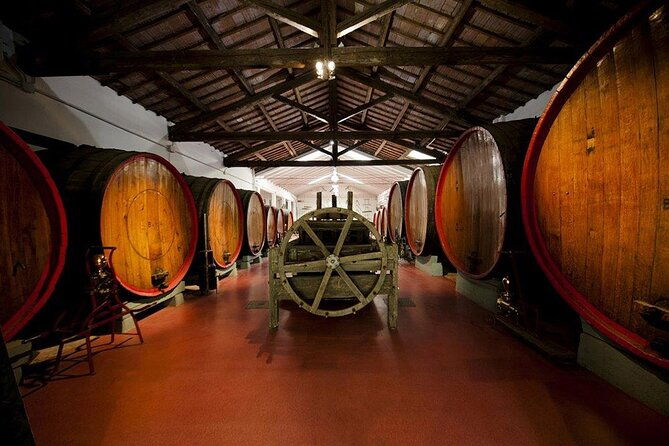 modena-area-lambrusco-wine-tasting-experience