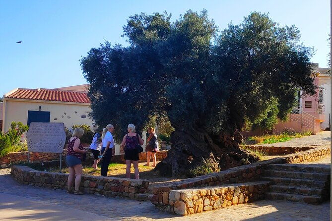 monastery-ancient-olive-tree-museum-cretan-brewery-private-tour-from-chania