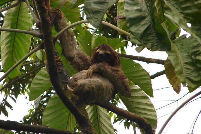 mono-island-and-panama-canal-trail-tour