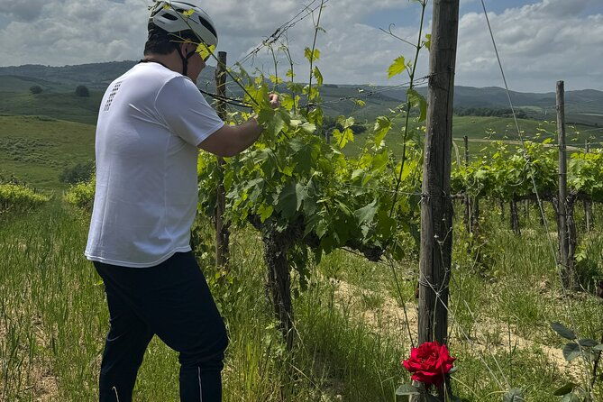 montalcino-essence-your-privat-e-bike-experience-top-quality
