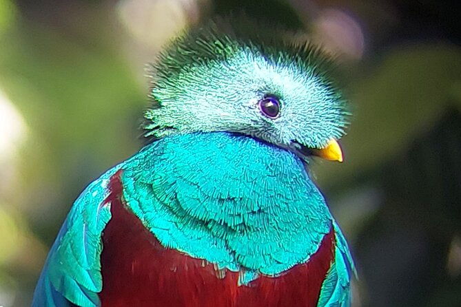 monteverde-cloud-forest-tour-2