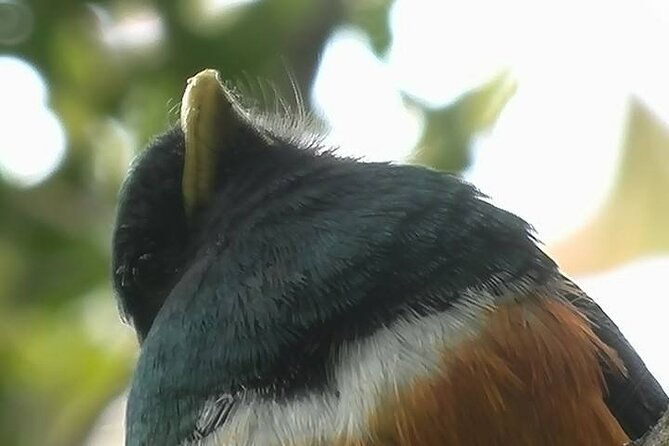 monteverde-cloud-forest-tour