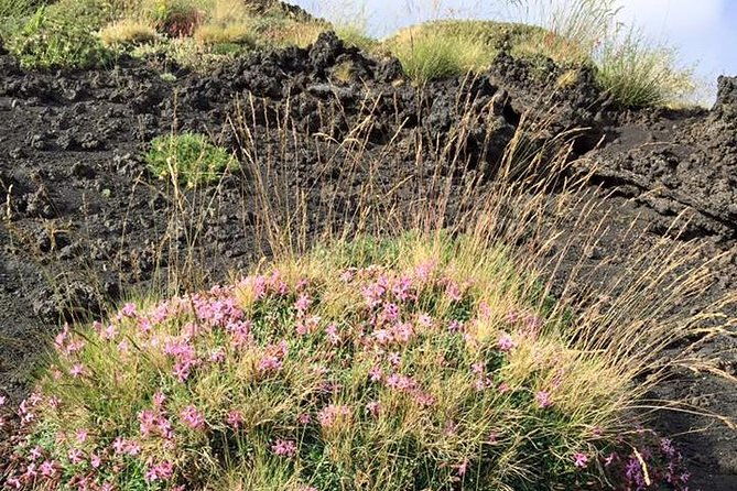 morning-excursions-etna-etna-morgen-tour