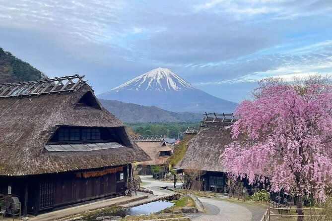 mount-fuji-four-iconic-scenic-spots-day-tour-from-tokyo