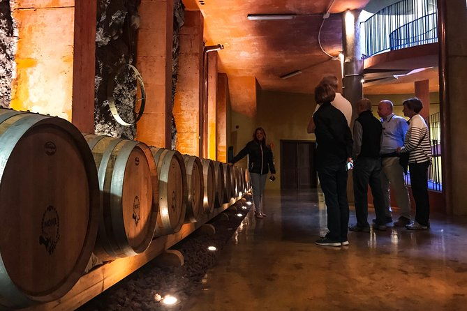 mount-teide-and-tenerife-north-with-food-wine-tasting-private-tour