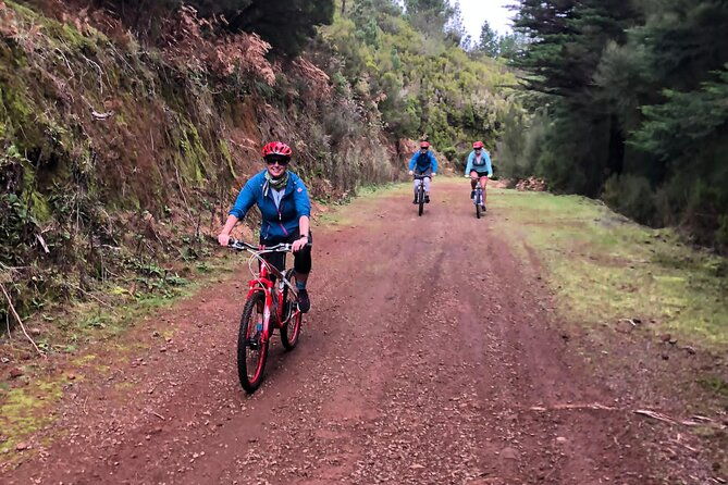 mountain-biking-tour-beginner-easy-2