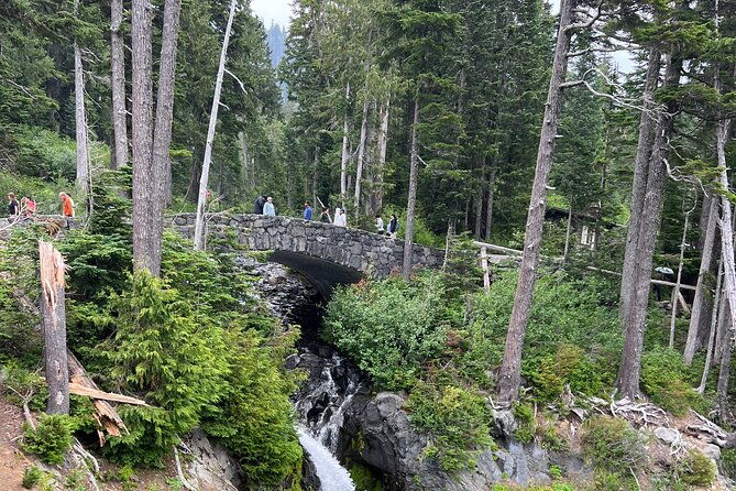 mt-rainier-full-day-adventure-luxury-suv-up-to-7-guests-2