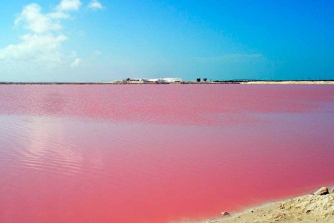 mud-volcano-and-pink-sea-with-lunch-included