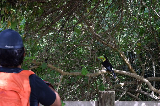 national-aviary