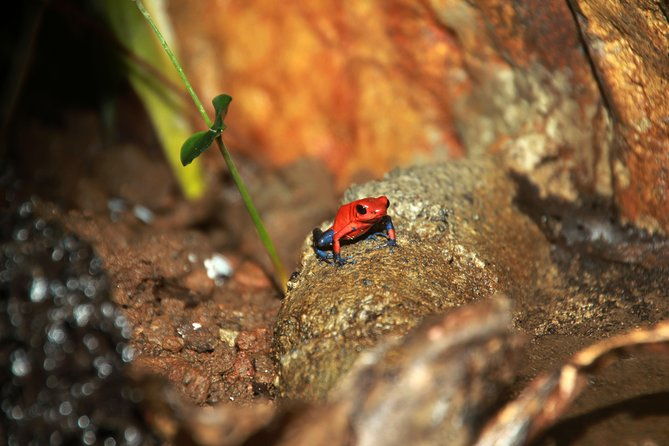 natura-eco-park-admission