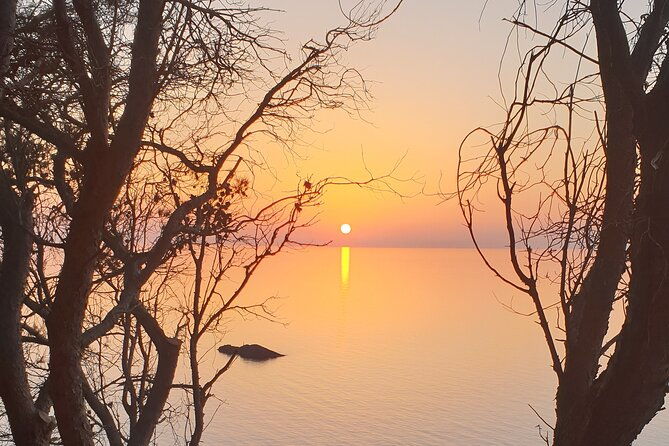 naturalistic-excursion-to-ustica