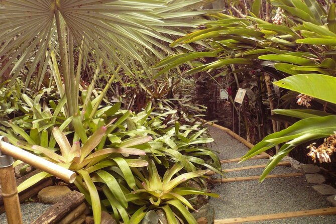 nature-and-sightseeing-tour-at-phantasea-tropical-botanical-garden