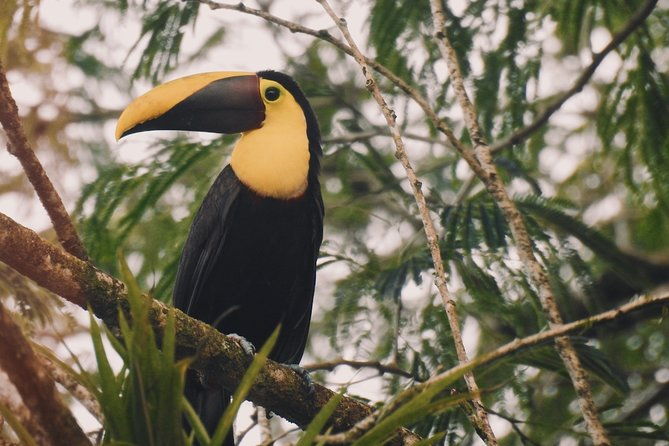 nature-hike-in-la-fortuna