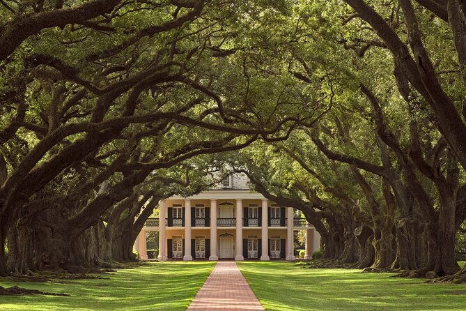 nawlins-luxury-laura-oak-alley-or-whitney-plantation-tour-w-transportation
