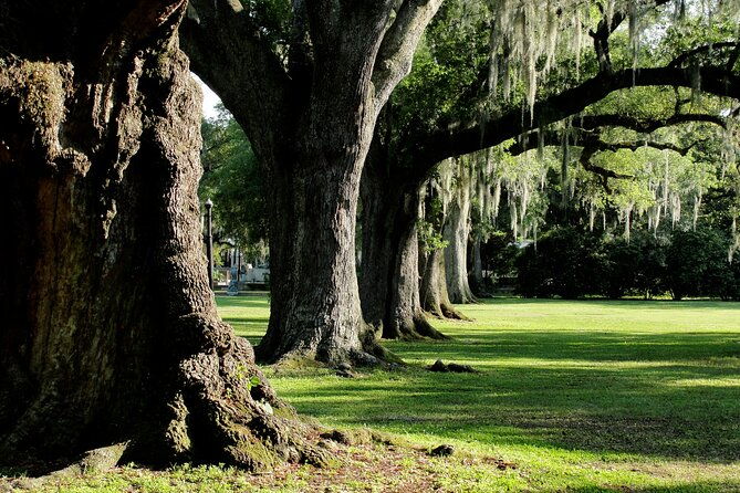 new-orleans-city-park-exploration-game-and-tour
