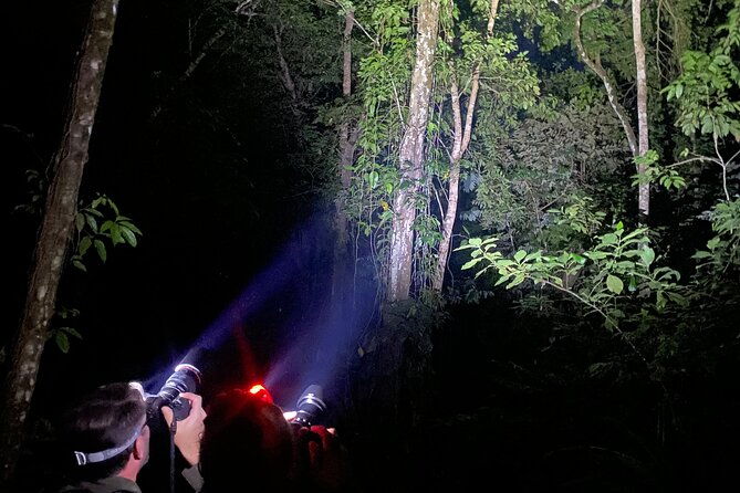 night-hiking-tour-at-the-gandoca-manzanillo-mixed-refuge