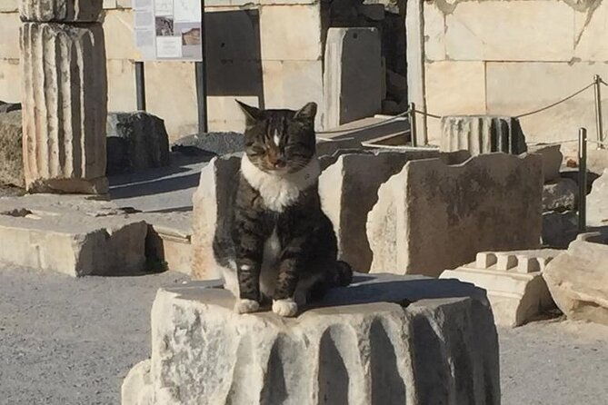 no-hidden-costs-private-ephesus-with-skip-the-line-tickets-2