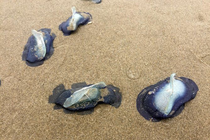 northern-oregon-coast-day-trip-to-cannon-beach-area