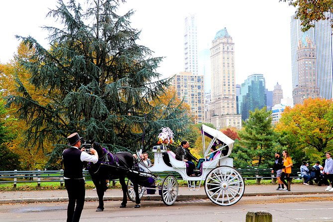 nyc-horse-carriage-ride-in-central-park-50-min-up-to-4-adults