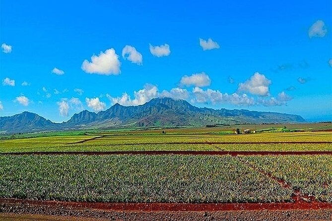 oahu-grand-circle-island-experience-from-waikiki-2