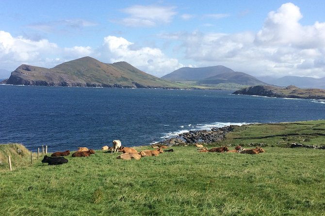 off-the-beaten-path-private-tour-of-ring-of-kerry