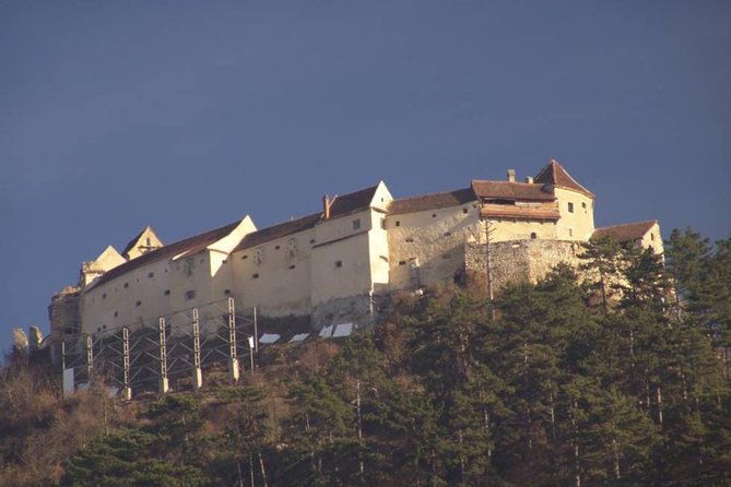one-day-trip-bear-sanctuary-dracula-castel-and-rasnov-fortress-from-brasov