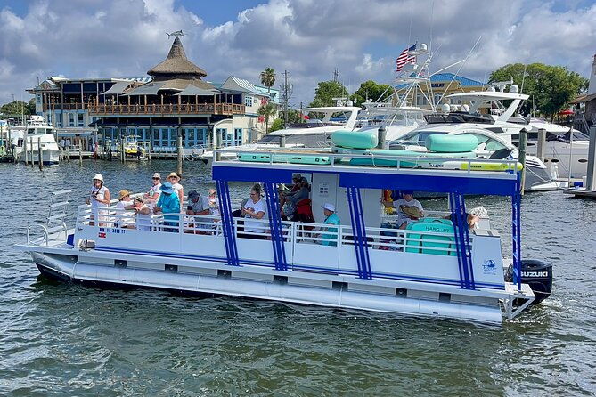 one-hour-harbor-shared-tour-with-dolphin-watching