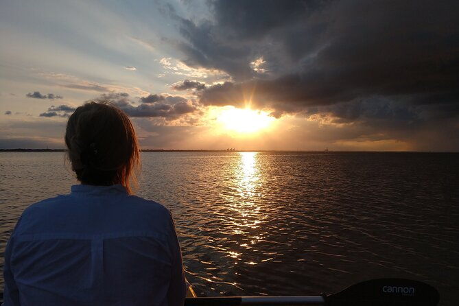 one-single-kayak-rental-for-2-hours-with-manatee-dolphin-sightings
