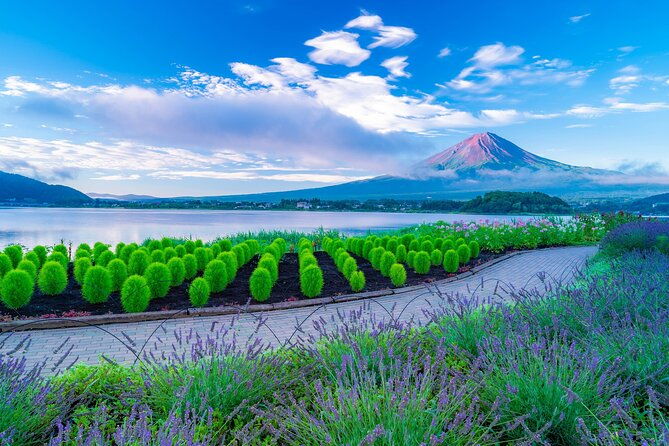 one-way-bus-takayama-to-kawaguchiko-via-mt-fuji-5th-station