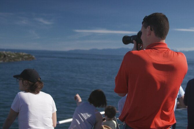 only-wildlife-and-whale-watching-tour-leaving-from-seattle