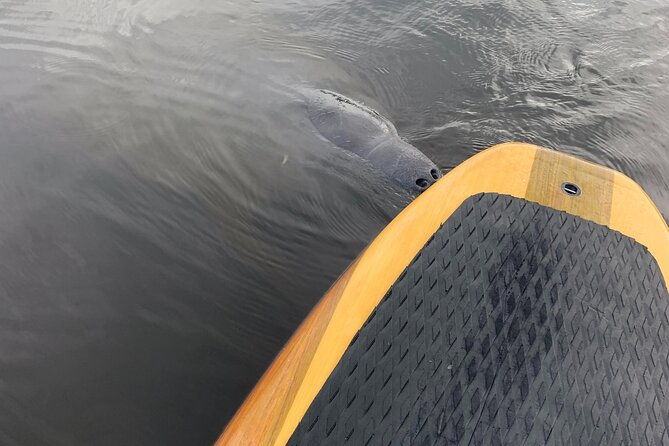 orlando-manatee-and-olde-florida-history-adventure-tour