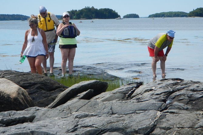 oyster-farm-complimentary-tasting-sea-kayak-tour-in-casco-bay-2