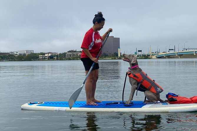 paddle-with-pups-in-paradise-paddleboard-or-kayak