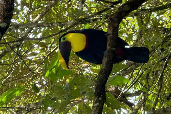 palo-verde-national-park-safari-boat-tour