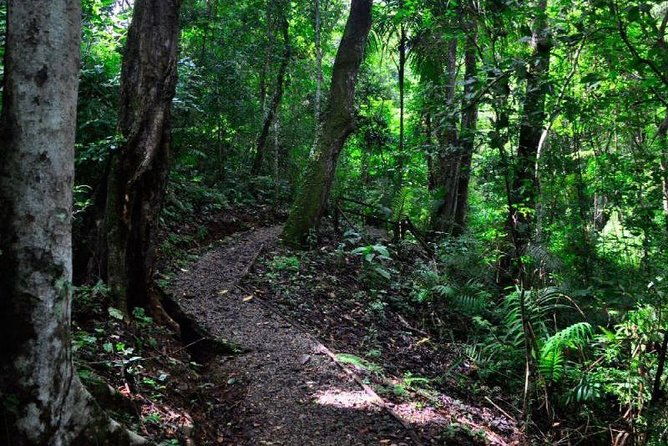 panama-city-metropolitan-park-trail-tour