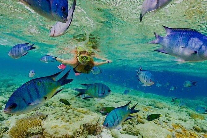 party-boat-with-snorkeling-and-open-bar-in-punta-cana
