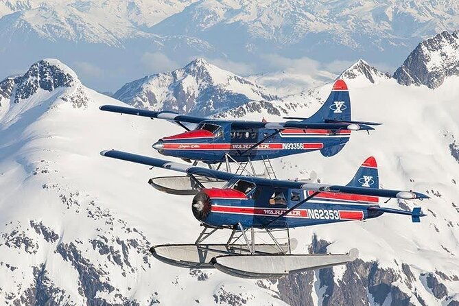 peak-season-bear-viewing-by-seaplane