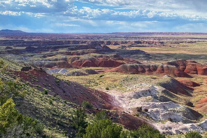 petrified-forest-national-park-self-guided-driving-audio-tour