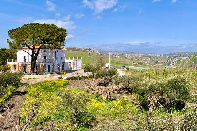 piazza-armerina-and-winery-private-tour-starting-from-agrigento