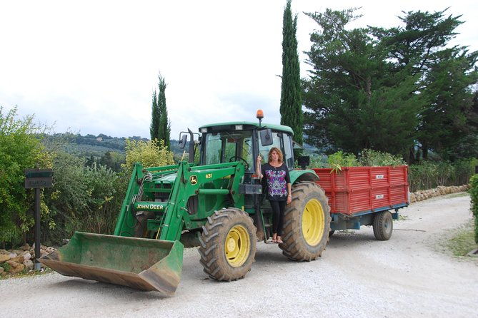 pienza-val-dorcia-montalcino-wine-and-pecorino-cheese-private-tour-from-siena