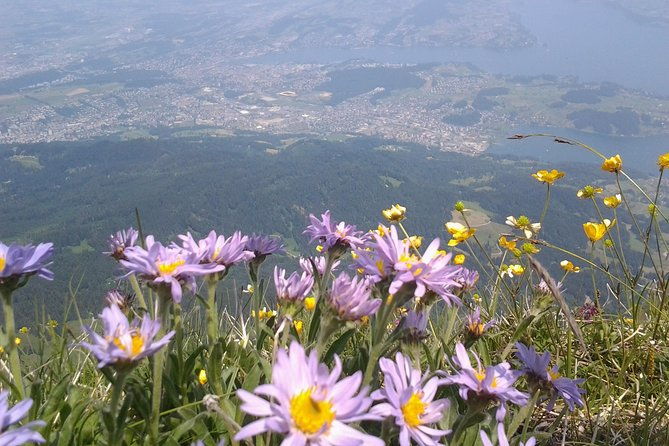 pilatus-panorama-exclusive-private-golden-round-trip-from-luzern-2