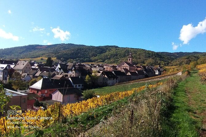 pinot-noir-pinot-wine-tour-to-baden-wurttemberg