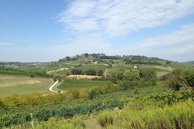 pisa-lucca-and-tuscany-tour-from-livorno