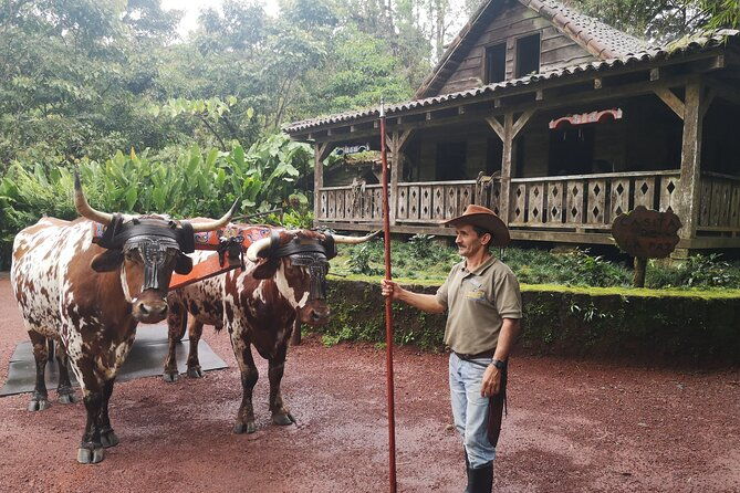 poas-volcano-la-paz-waterfall-gardens-coffe-tour-private