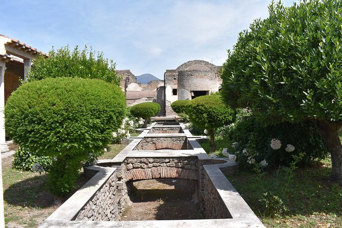 pompeii-must-see-attractions-guided-tour-with-skip-the-line-access