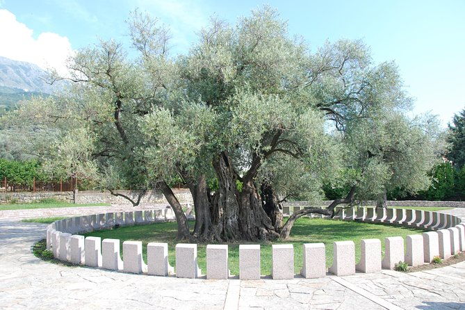 port-of-bar-tour-explore-adriatic-area-bar-and-ulcinj-tour